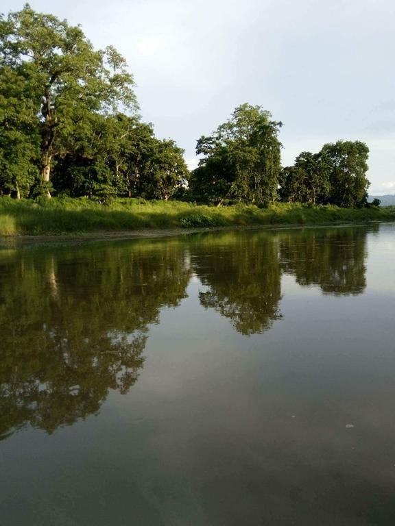 Unique Wild Resort Sauraha Esterno foto