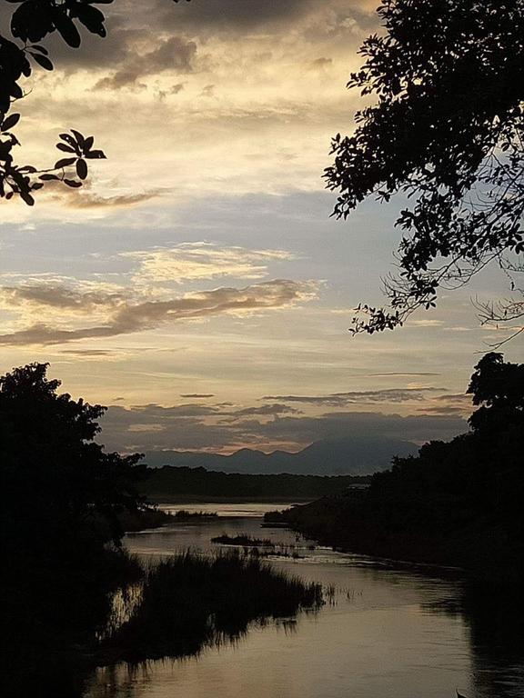 Unique Wild Resort Sauraha Esterno foto