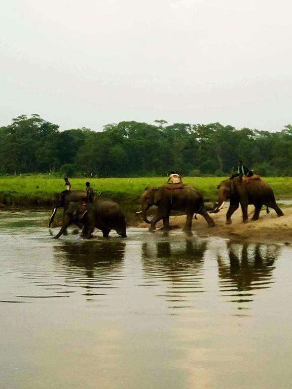 Unique Wild Resort Sauraha Esterno foto