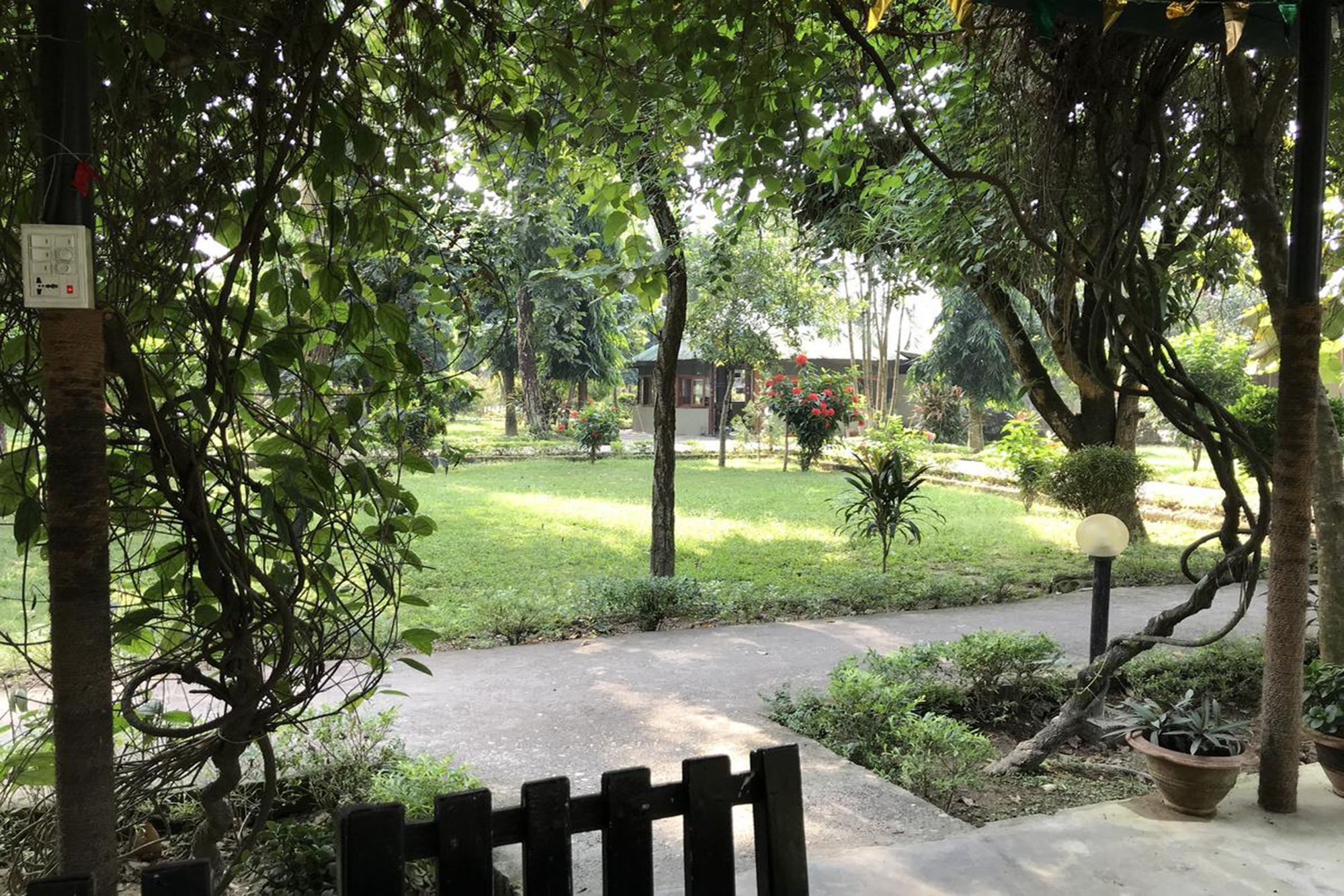 Unique Wild Resort Sauraha Esterno foto