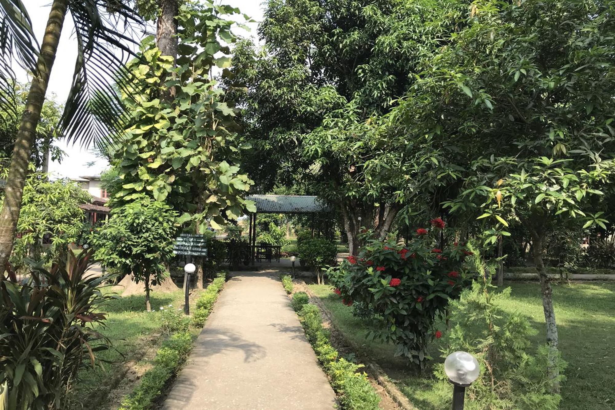 Unique Wild Resort Sauraha Esterno foto