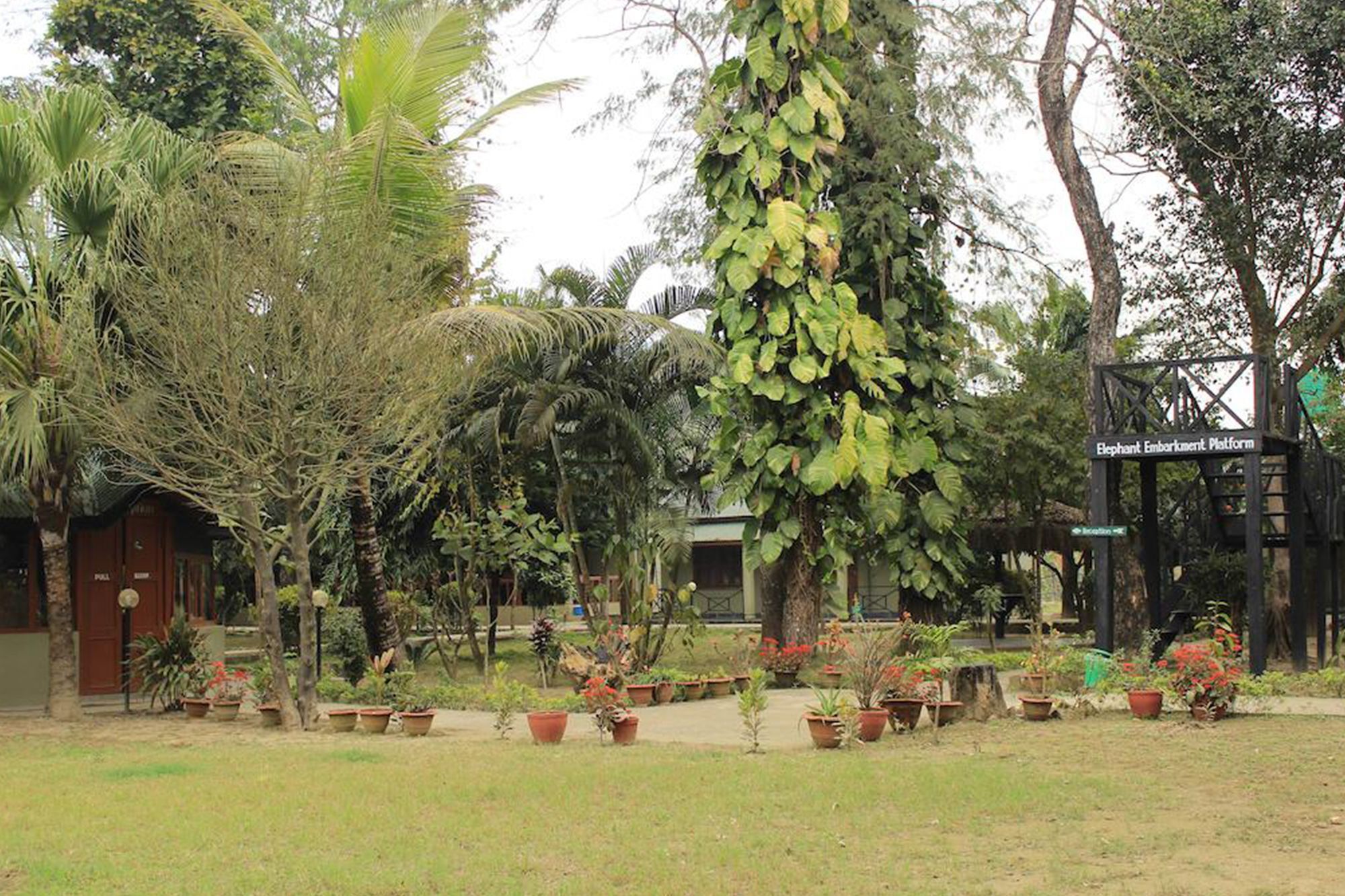 Unique Wild Resort Sauraha Esterno foto