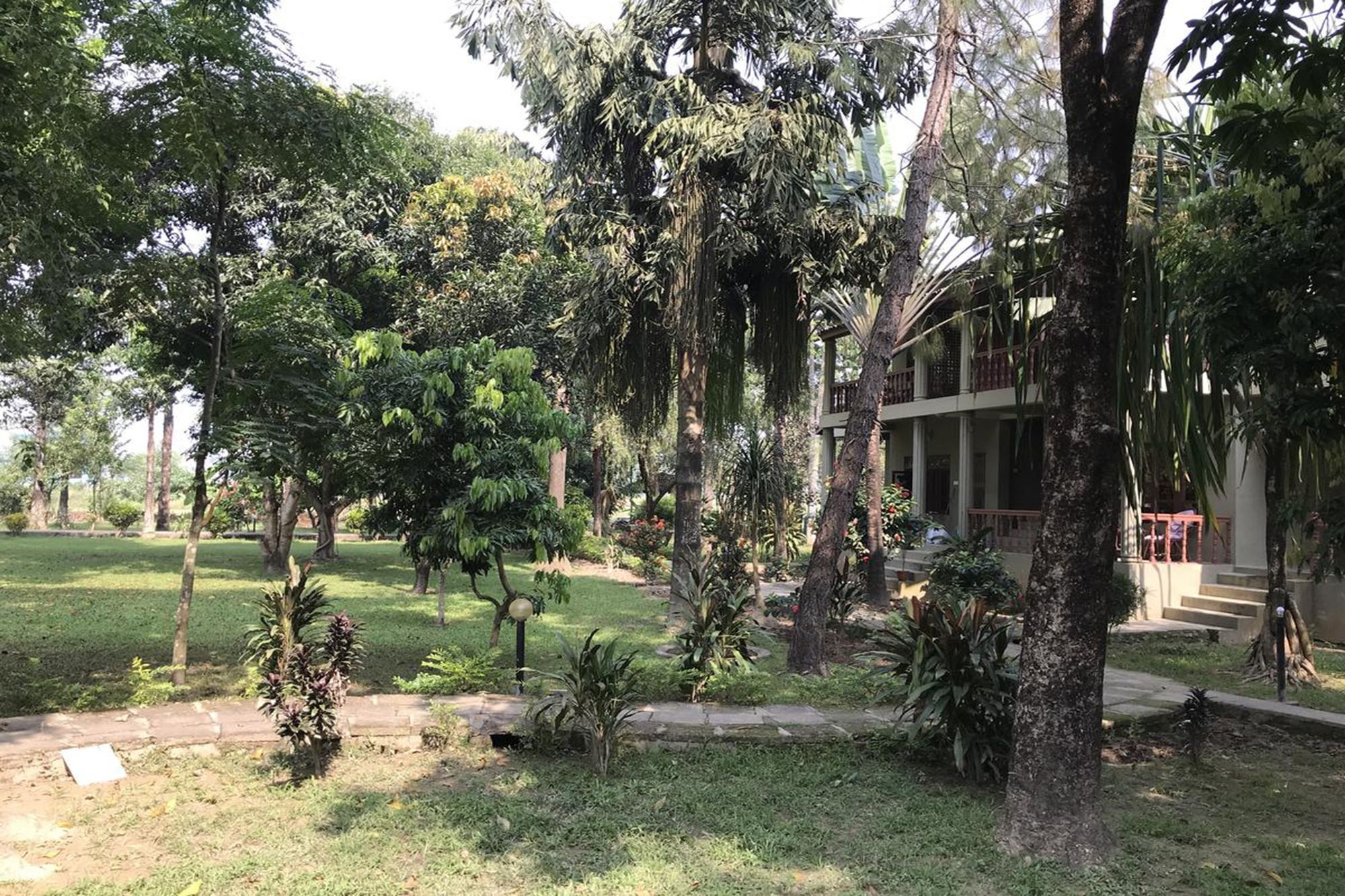 Unique Wild Resort Sauraha Esterno foto