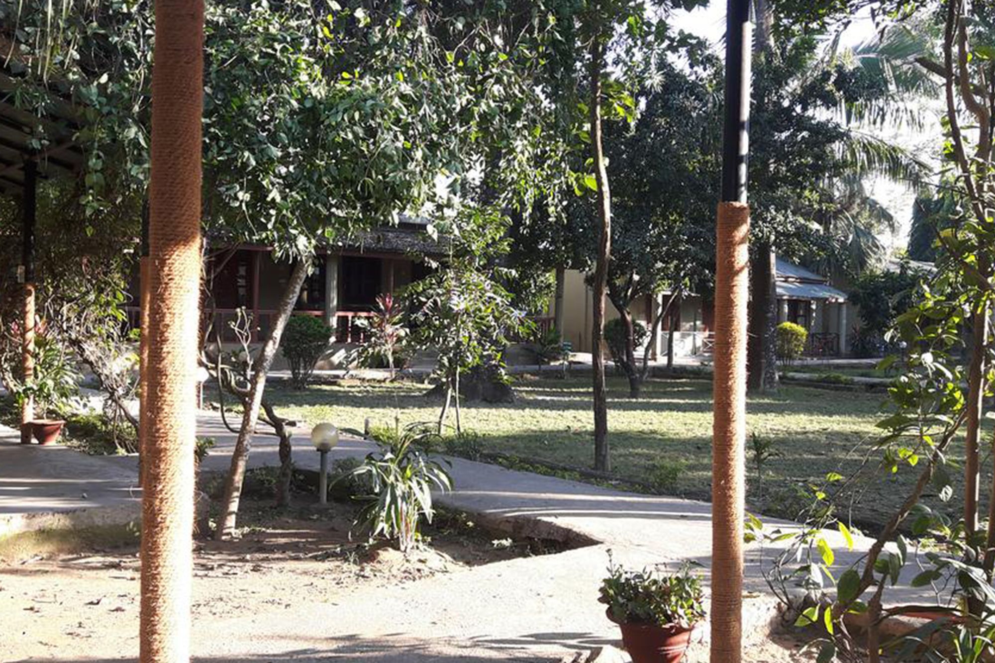 Unique Wild Resort Sauraha Esterno foto