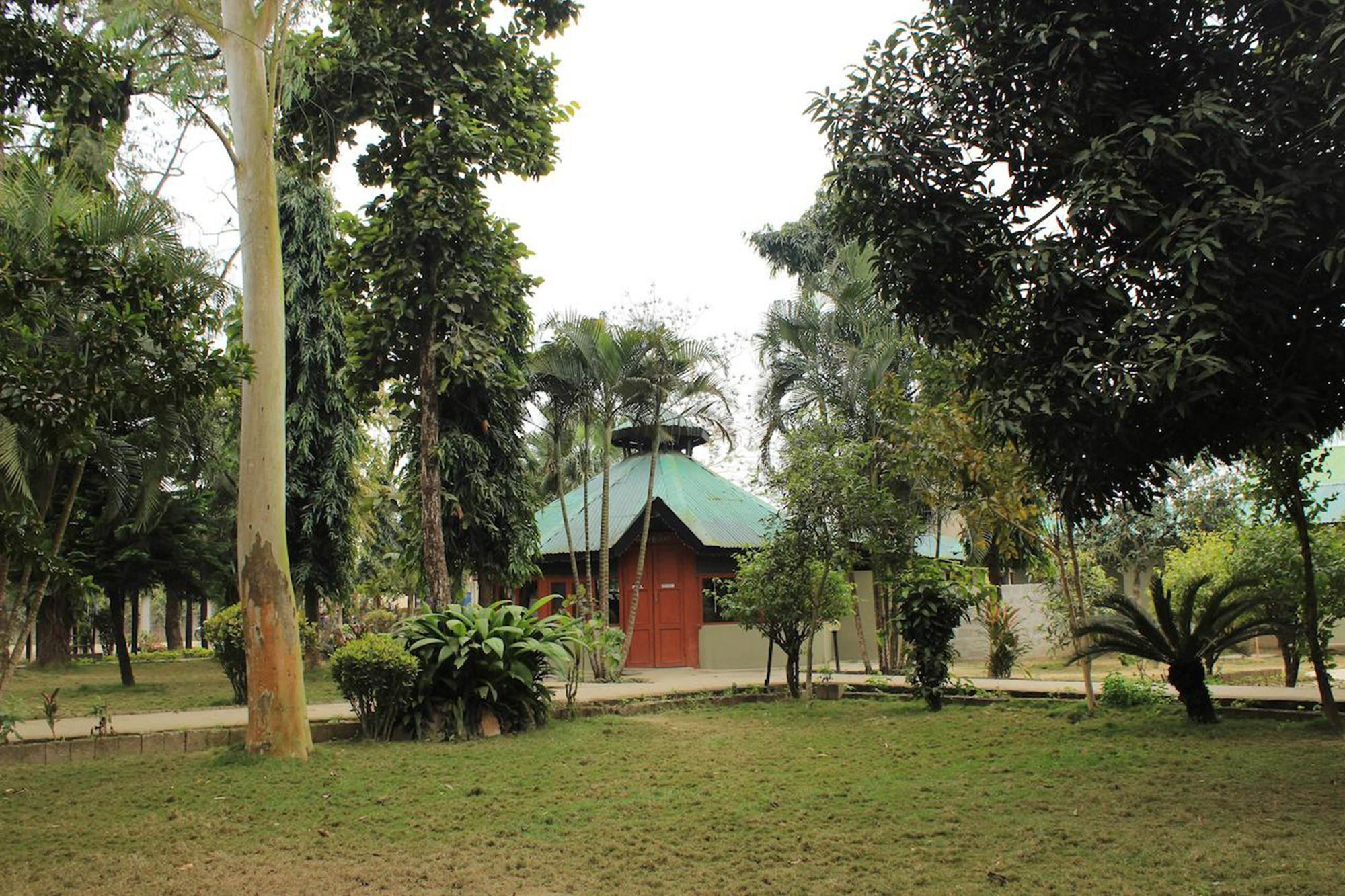 Unique Wild Resort Sauraha Esterno foto